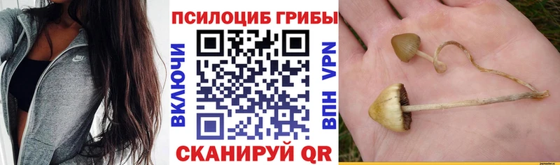 Галлюциногенные грибы мухоморы  Верхняя Салда 